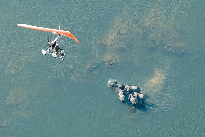 Private Microlight Flight Above the Falls - Accessibility Details
