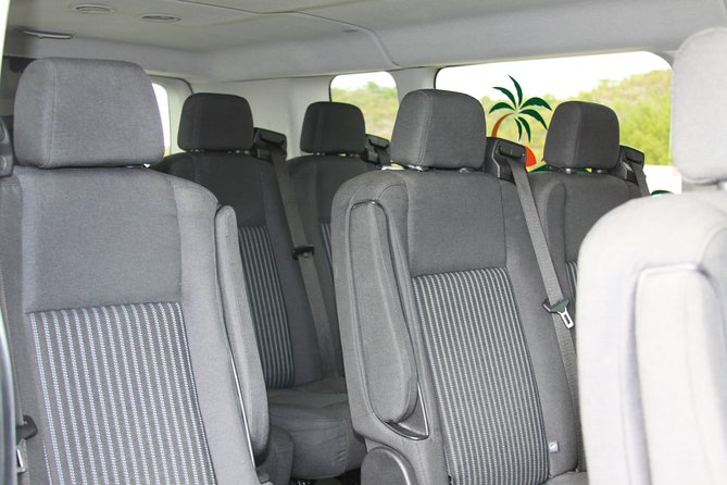 Private Mini Van (Round Trip) - Vehicle Details and Amenities