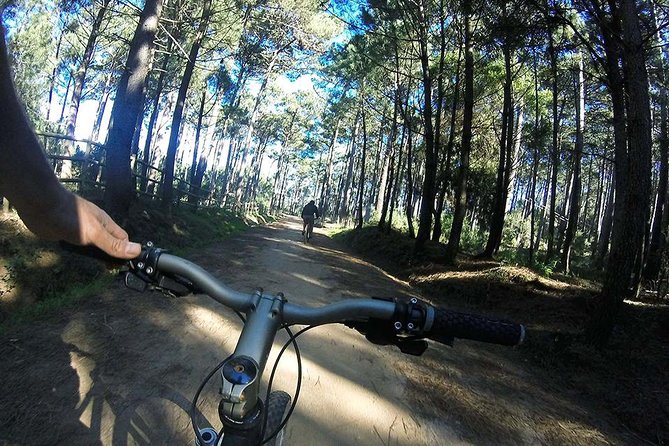 Private Mountain Biking Adventure in Sintra Cascais Park - Mountain Biking Tour Details