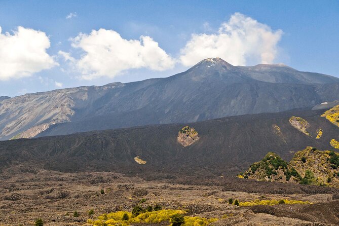 Private Mt. Etna 4WD Half Day Adventure - Inclusions