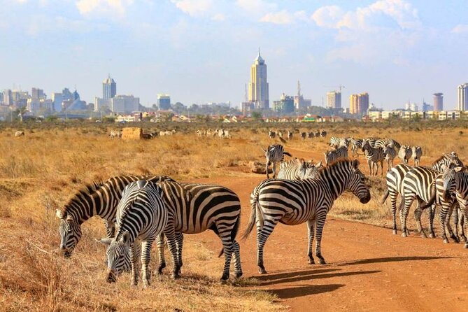 Private Nairobi National Park Day Tour - Inclusions