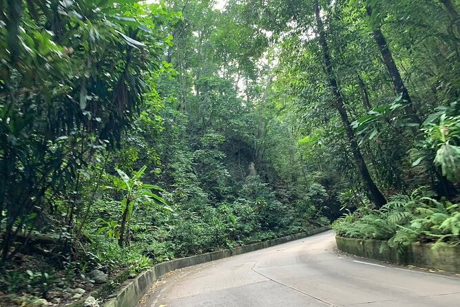 Private Ocho Rios Tour With Dunns River Falls and Lunch - Tour Schedule