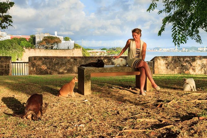 Private Old San Juan Walking Tour - Reviews and Ratings