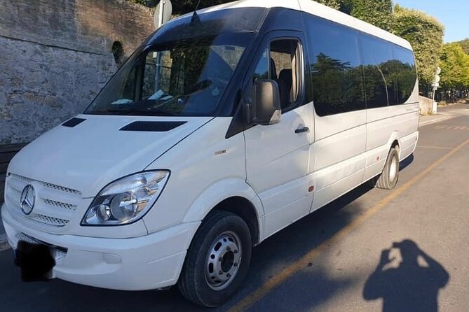 Private One Day Tour to Taormina and Mount Etna - Accessibility