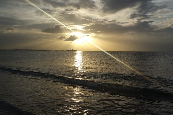 Private One Way Transfer Sju Airport to Rincon, Aguada and Añasco - Accessibility Information
