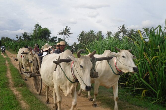 Private Oxcart Ride and Local Village Tour With Cooking Class - Oxcart Ride Highlights