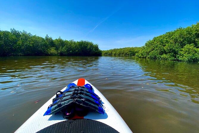 Private Paddle Board Adventure - Preparing for the Adventure