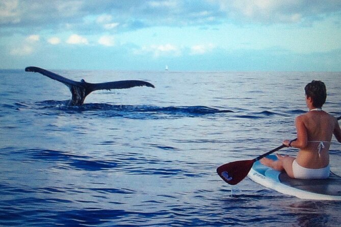 Private Paddleboard (SUP) Whale Watch - All Skill Levels Welcome - Meeting Details