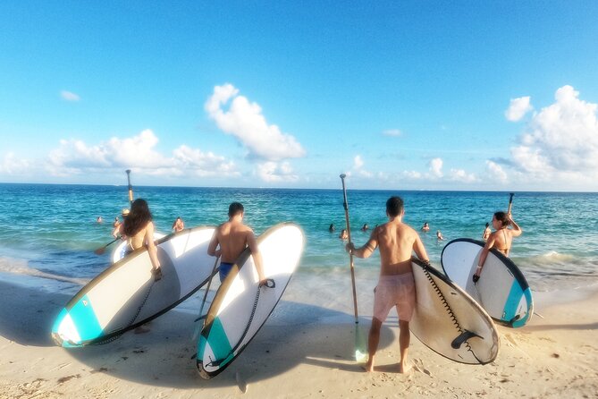 Private Paddleboard Tour Caribbean Sea For All Levels - Location and Meeting Point