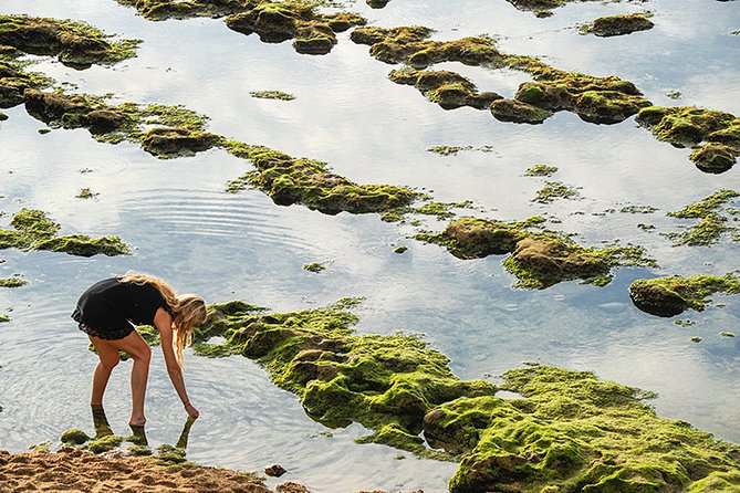 Private Photographic Walk in Biarritz - Cancellation Policy