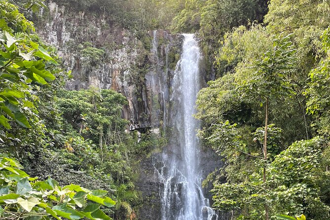 Private Road to Hana Tour With Lunch - Accessibility Options