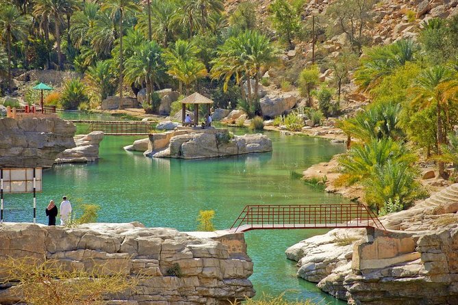Private Safari Wahiba Sands and Wadi Bani Khalid From Muscat - Highlights of the Safari