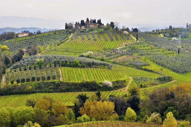 Private Shore Excursion From Livorno Port: Tuscany Highlights - Mobile Ticketing and Language