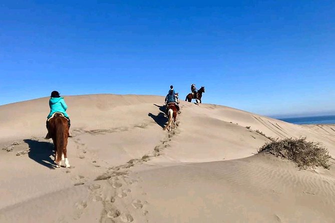 Private Shore Excursion From Valparaiso: Beach Horseback Ride & Viña Del Mar - Pickup and Meeting Information