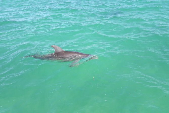 Private Sian Kaan Biosphere Tour - Tour Features