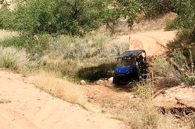 Private Side-by-Side Car Tour in Arch Canyon - Pricing and Group Details