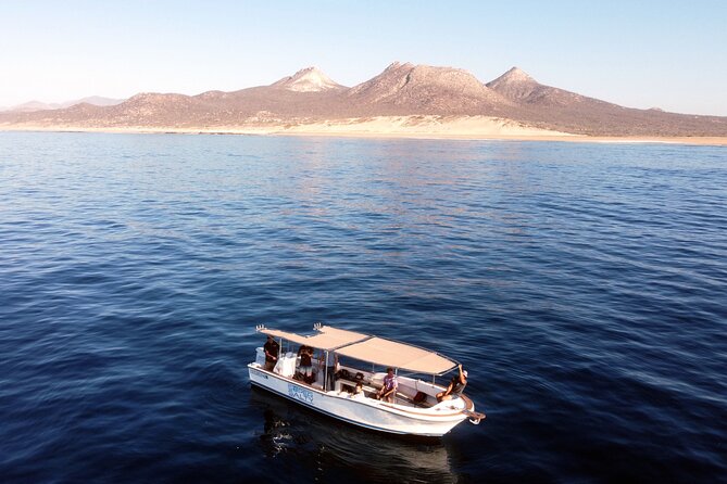 Private Snorkeling Boat Tour in San Jose Del Cabo - Location and Meeting Point