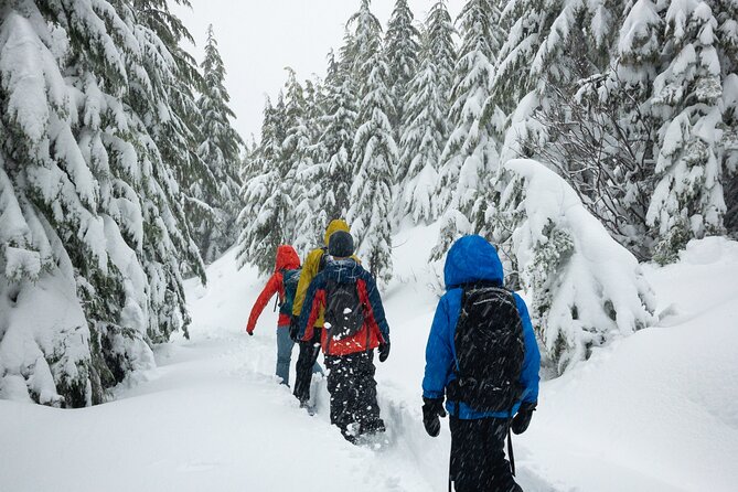 Private Snowshoeing Adventure From Badger Pass to Dewey Point - Terrain and Difficulty