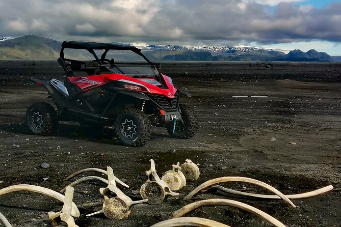 Private South Coast and Black Beach Buggy Tour - Inclusions