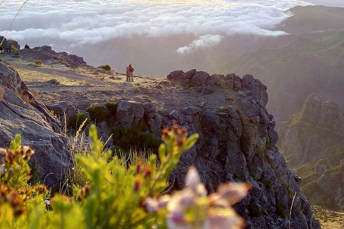 Private Sunrise Pico Do Areeiro Half Day With Easy Levada Walk - Inclusions and Logistics
