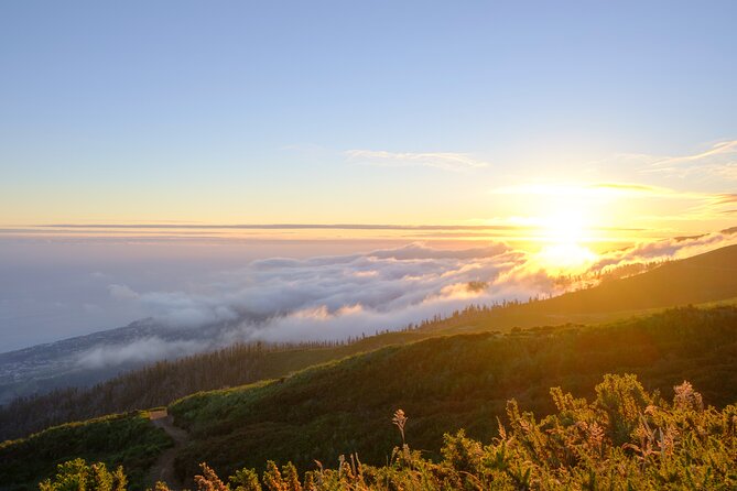 Private Sunset Tour With Food and Drinks in Fanal Forest - Pickup and Start Time