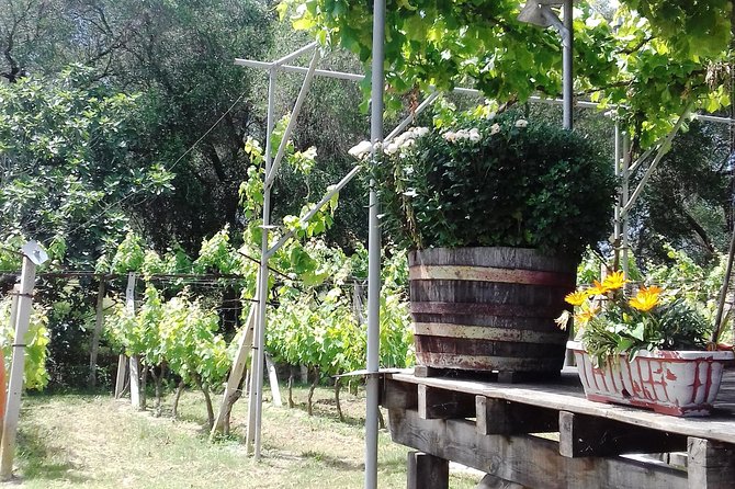 Private Tasting Tour in Corfu - Pricing and Booking Details