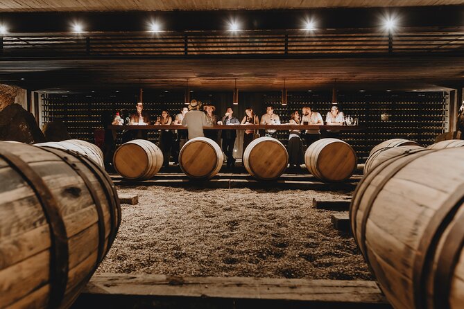 Private Tasting With Pairing in a Cava in Aguascalientes - Menu and Offerings