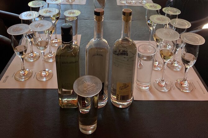 Private Tequila Tasting Tour - Exploring the Tequila Countryside