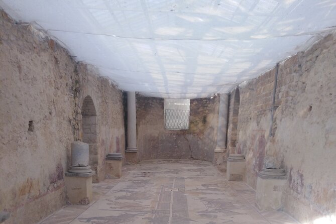Private Tour Agrigento and Villa Romana Del Casale - Historical Site Highlights