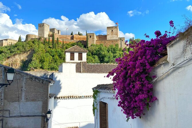 Private Tour Albayzin and City Center (Entrance Fees Included) - Meeting and End Points