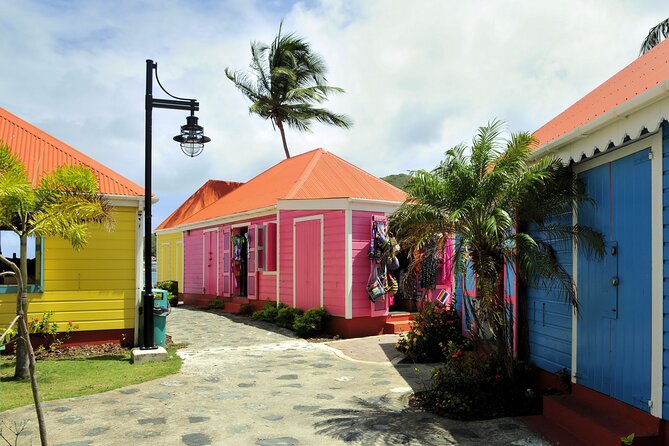 Private Tour Art & Culture in Tortola Virgin Islands - Exploring Tortolas Art Scene