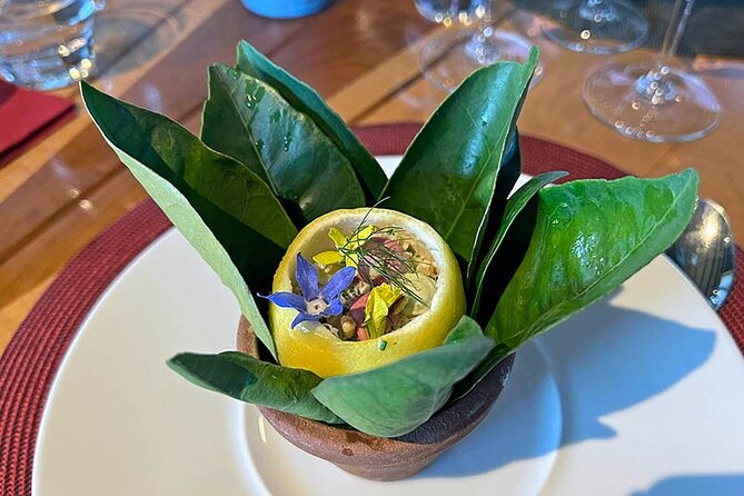 Private Tour at Maturana Wines and VIK Winery With Lunch - Tasting Experience at Maturana