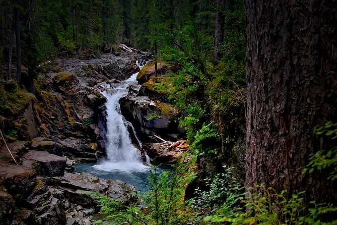 Private Tour at Mt Rainier in Seattle - Inclusions and Exclusions