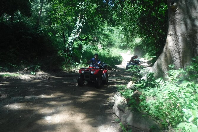 Private Tour: ATV SIERRA MADRE - Tour Details and Highlights