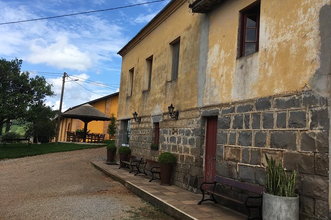 Private Tour Cave Geisse + 2 Wineries From Pinto Bandeira RS - Schedule and Accessibility