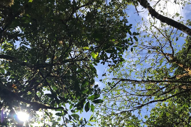 Private Tour - Cerro Gaital Natural Monument Trail - Guided Hike on Cerro Gaital Trail