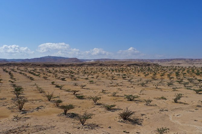 Private Tour - Empty Quarter Desert Adventure - Wadi Dawka + Ubar - Pickup Information