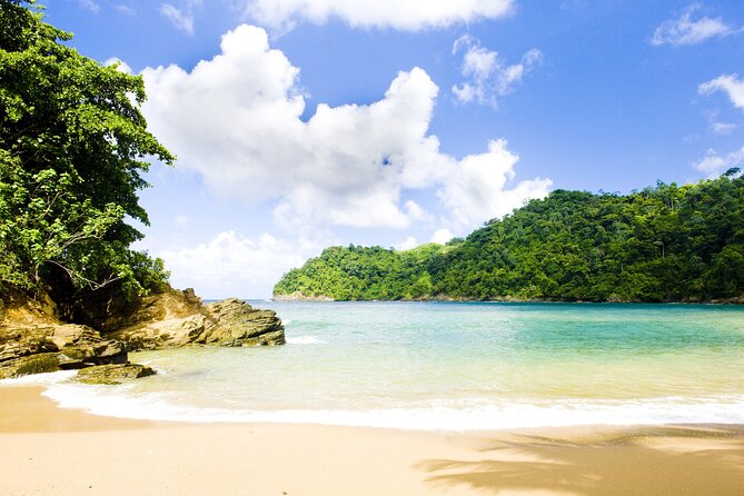 Private Tour Englishmans Bay From Tobago - Included in the Tour