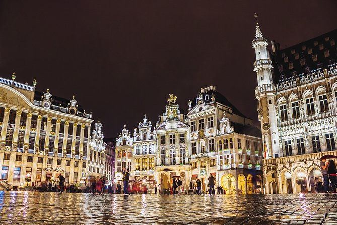 Private Tour: Experience the Christmas Magic in Brussels - Inclusions and Logistics