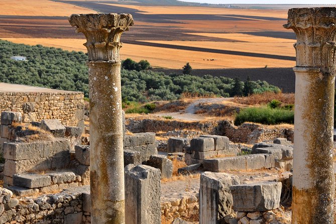 Private Tour From Fez to Volubilis, Moulay Idríss & Meknes - Pickup and Drop-off Details