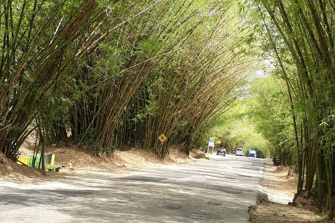 Private Tour in Dunns River Falls - Pickup and Meeting Details