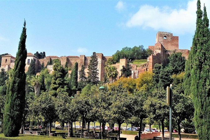 Private Tour in Malaga From Costa Del Sol - Accessibility Features