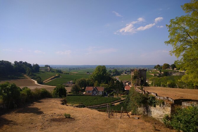 Private Tour in Saint-Emilion, Medieval Village and Wine Tasting - Wine Tasting Experience