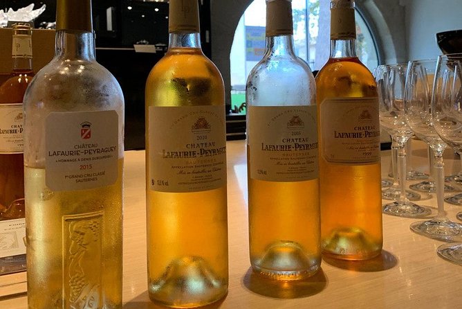 Private Tour in the Sauternes Wine Region - Discover Bordeaux Sweet Crus Classés - Professional Wine Tasting Techniques