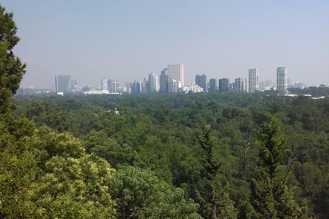 Private Tour Museum of Anthropology and Chapultepec Castle. - Inclusions