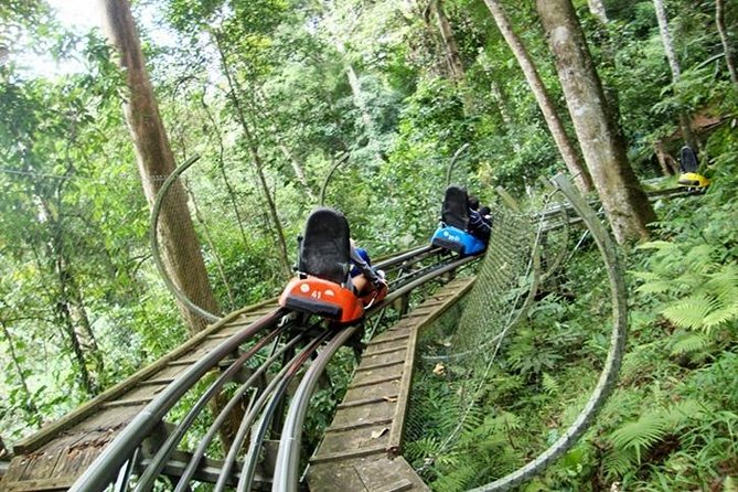 Private Tour Nha Trang - Dalat Excursion (Starting at Nha Trang) - Itinerary Highlights