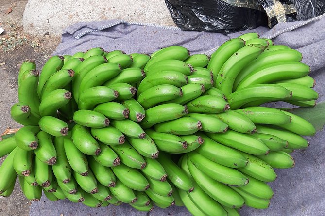 Private Tour of Banana Farm From Funchal - Booking Flexibility