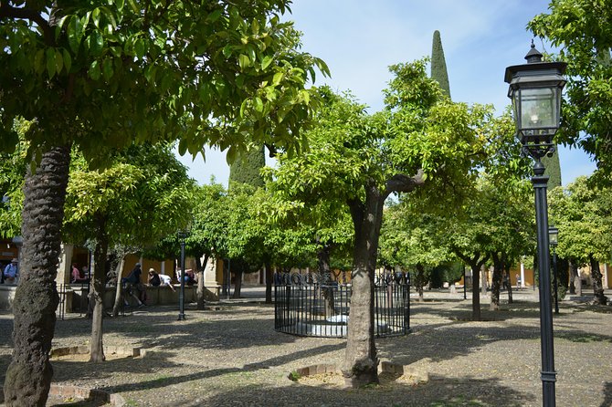 Private Tour of Cordoba Review: Unforgettable Experience - Mosque-Cathedral: Architectural Masterpiece