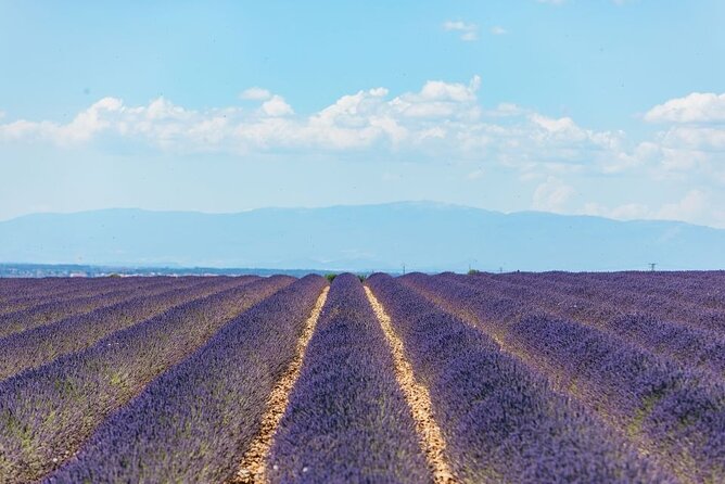 Private Tour of Gorges of Verdon and Fields of Lavender in Nice - Highlights of the Experience