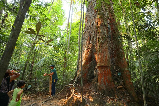 Private Tour of Musa (Botanical Garden, Amazon Museum) - Included Experiences
